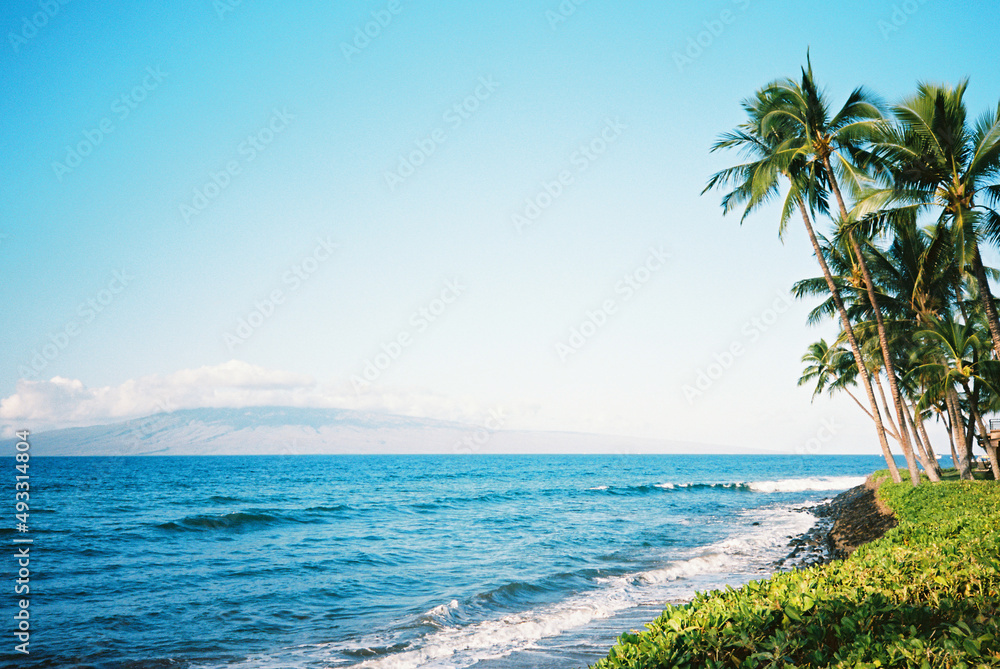 Exploring the Wonders of the Ocean
